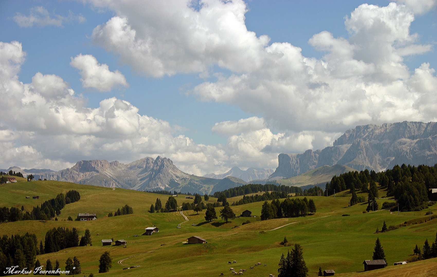 Auf der Seiser - Alm