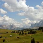 Auf der Seiser - Alm