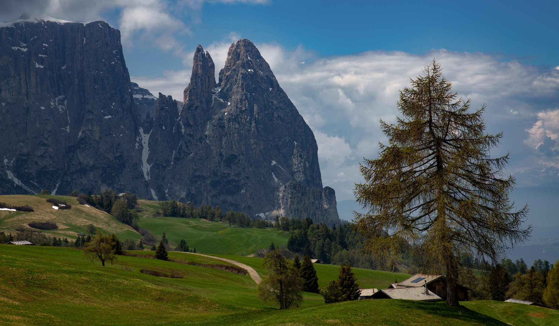 Auf der Seiser Alm