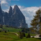 Auf der Seiser Alm