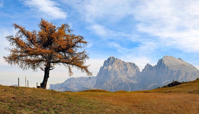 Auf der Seiser Alm...