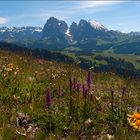 Auf der Seiser Alm