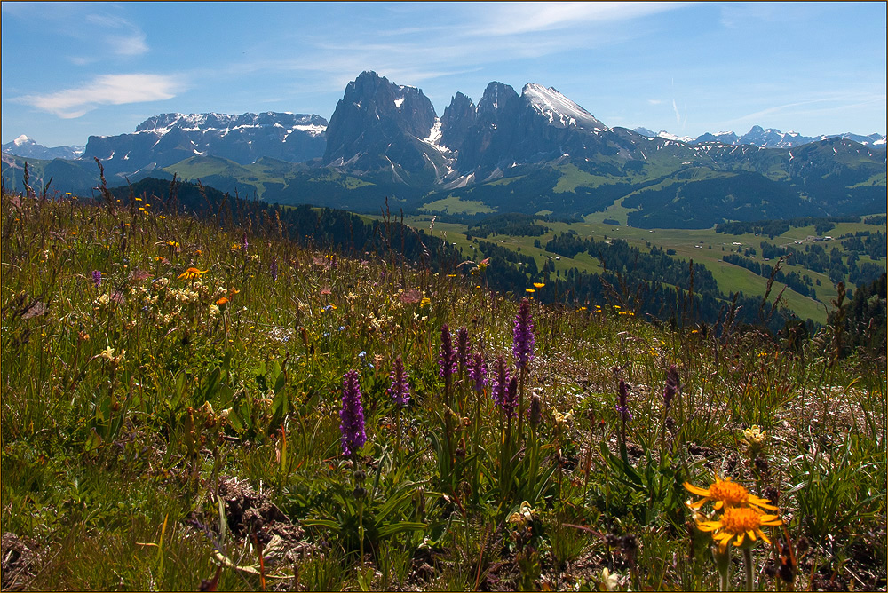 Auf der Seiser Alm