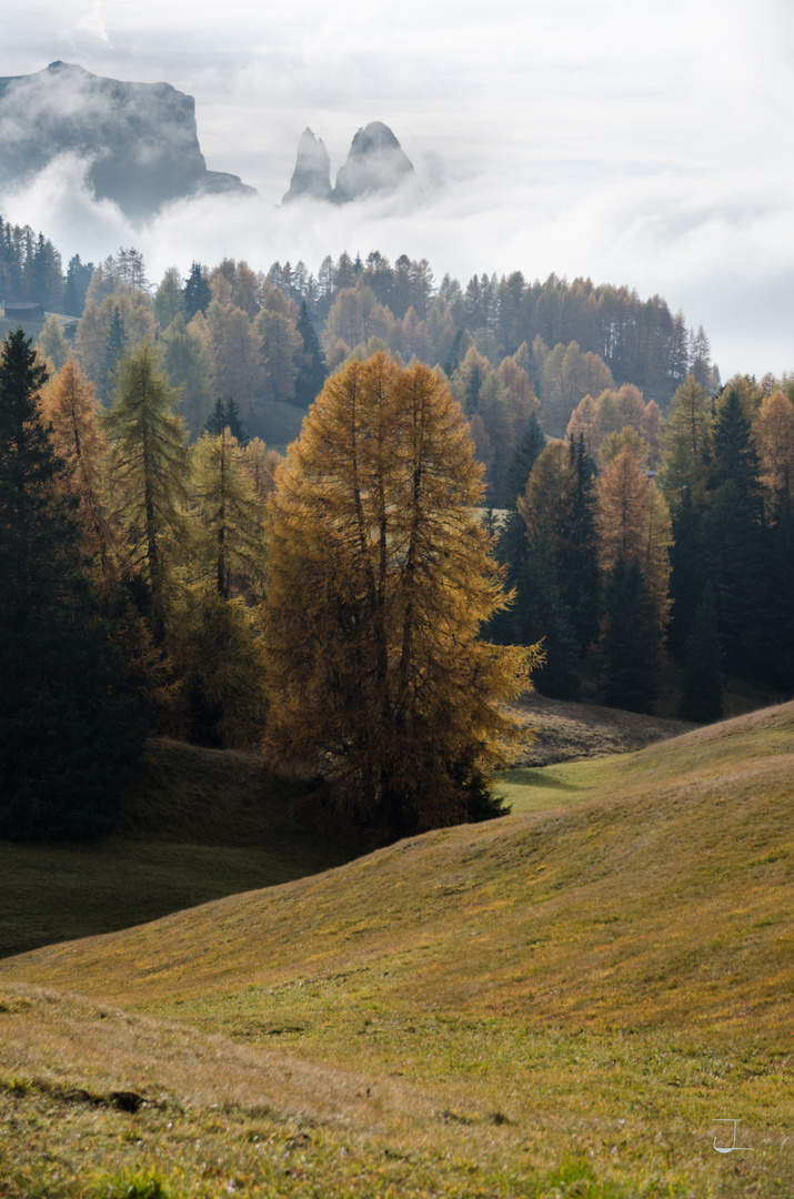 Auf der Seiser Alm