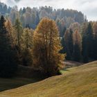 Auf der Seiser Alm