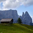 Auf der "Seiser Alm"