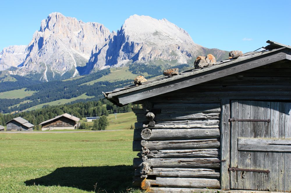 Auf der Seiser Alm