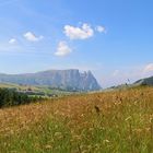 Auf der Seiser Alm