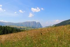 Auf der Seiser Alm