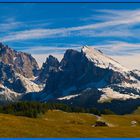 auf der Seiser Alm