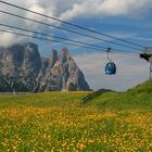 Auf der Seiser Alm im Juni...