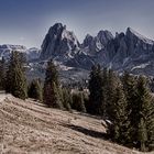 auf der Seiseralm