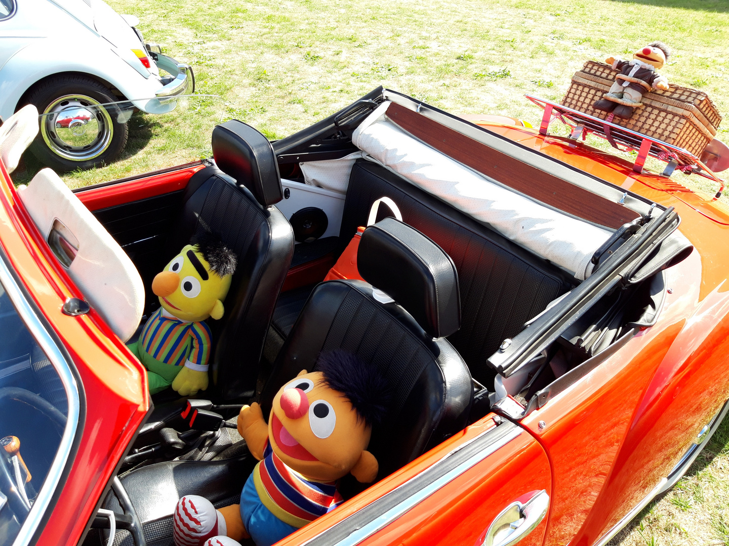 Auf der Sesamstraße Foto & Bild | quatsch, fun und rätselecke