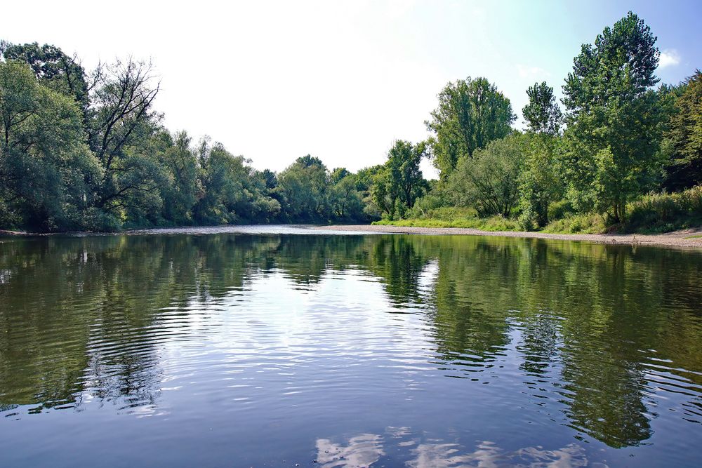 Auf der Sieg Foto & Bild deutschland, europe, nordrhein westfalen