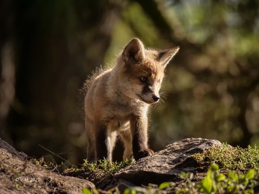 Auf der Skala von 1 - 10