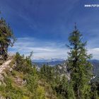 Auf der Sleme, Triglav - Nationalpark, Slowenien II