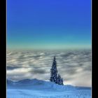 Auf der Sonnen Alm "Baum am Wolkenmeer"