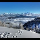 Auf der Sonnen Alm "Deine Spuren im ..." ;-)