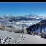 Auf der Sonnen Alm "Deine Spuren im ..." ;-)