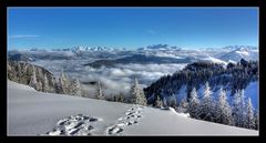 Auf der Sonnen Alm "Deine Spuren im ..." ;-)