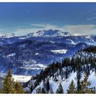 Auf der Sonnen Alm "Panorama"