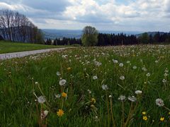 Auf der Sonnenalm