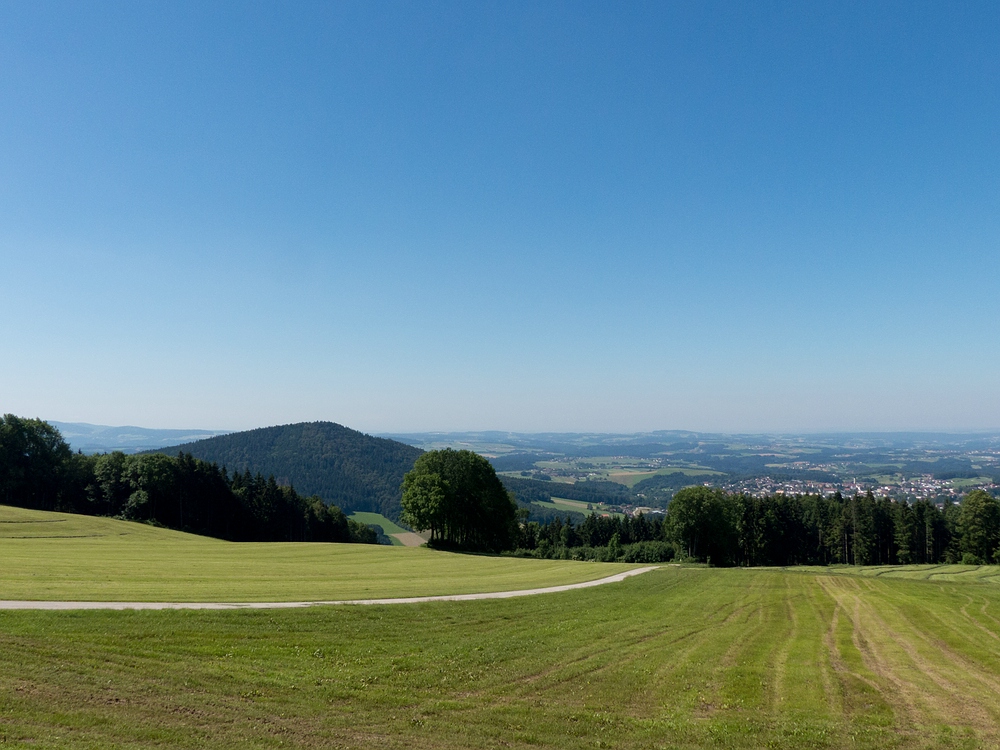 Auf der Sonnenalm