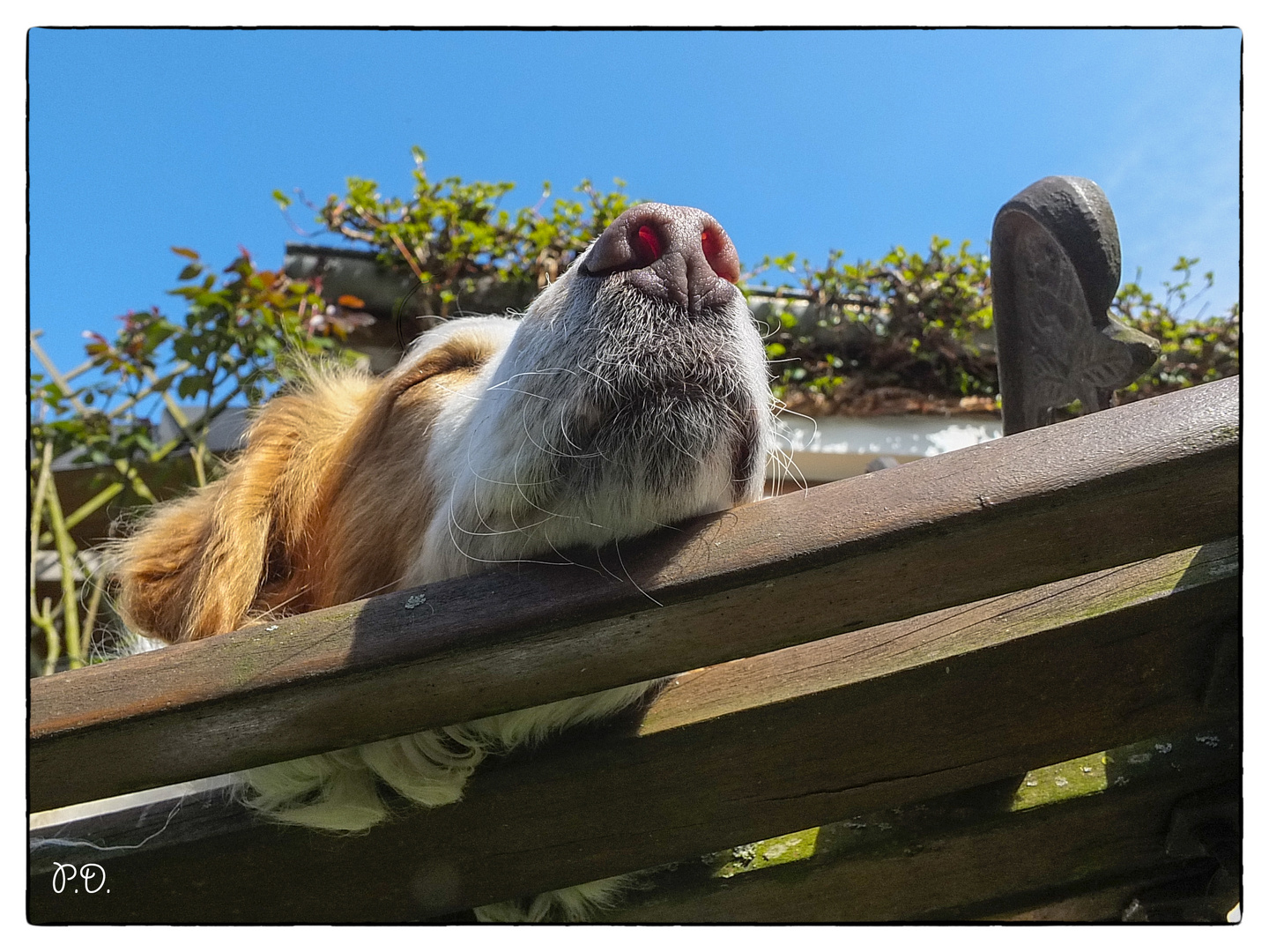 AUF DER SONNENBANK