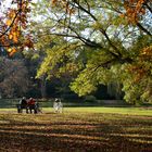 auf der Sonnenbank