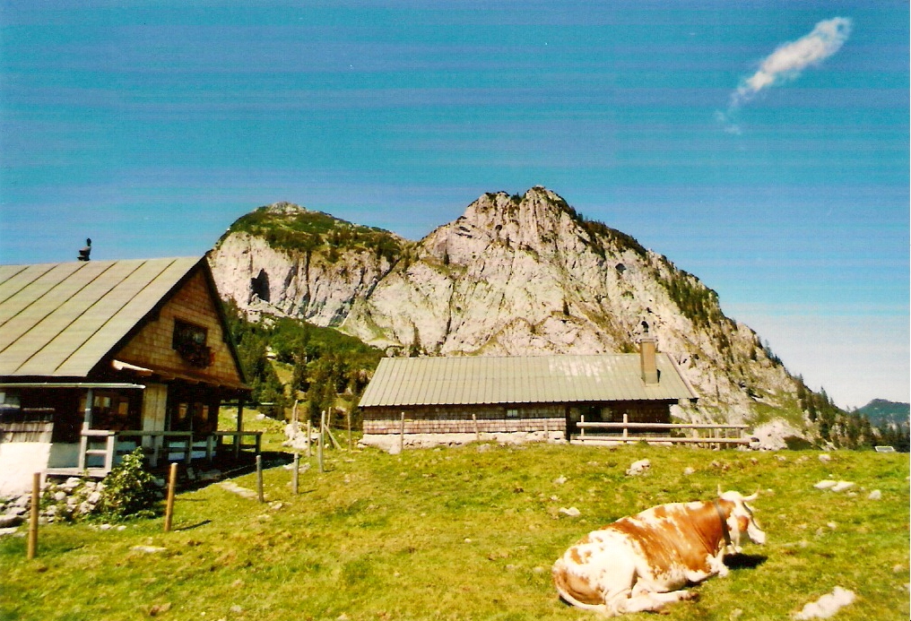 auf der sonnenberger alm