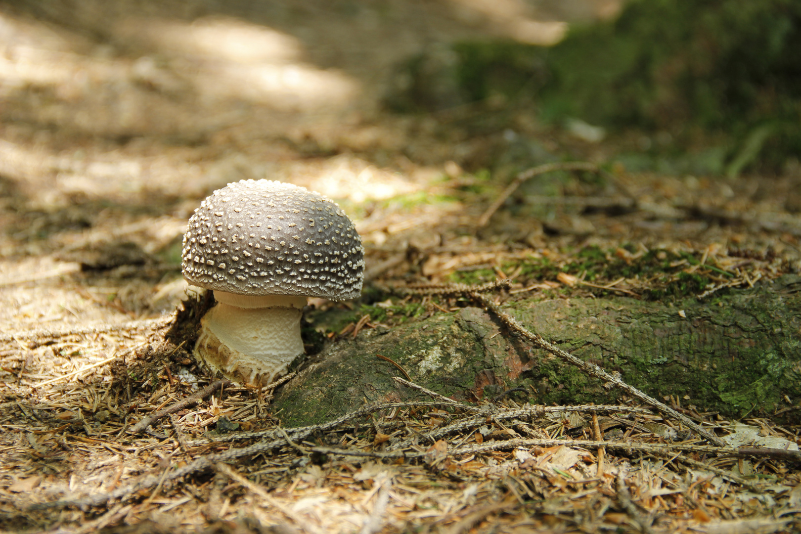 auf der Sonnenseite des Lebens