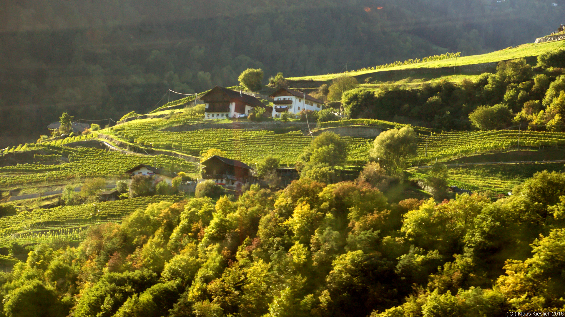 Auf der Sonnenseite irgendwo zwischen Brenner und Rovereto