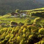 Auf der Sonnenseite irgendwo zwischen Brenner und Rovereto