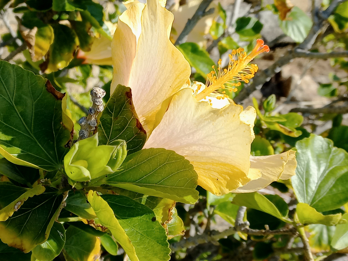 Auf der sonnigen Seite