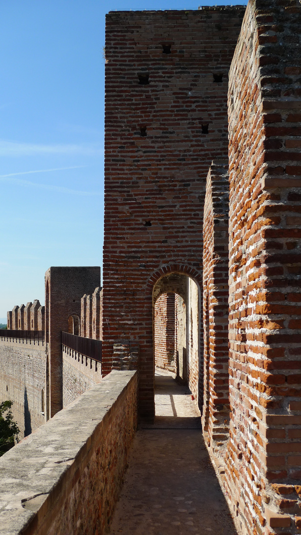 auf der Stadtmauer von Cittadella (2)