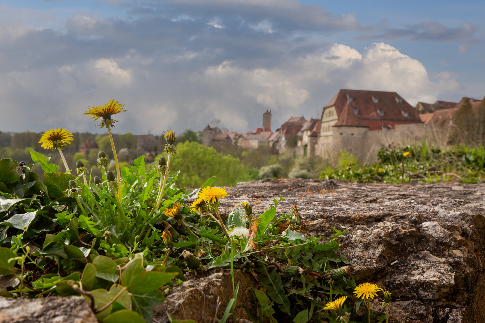 Auf der Stadtmauer von Rothenburg o.d.Tauber ...