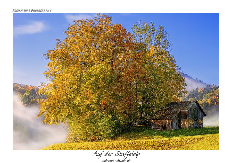 Auf der Staffelalp