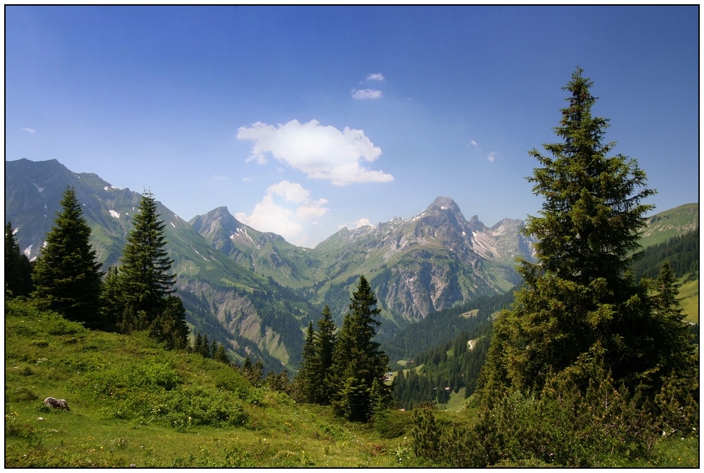 Auf der Steffis Alp...