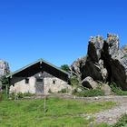 Auf der Steinling-Alm (Chiemsee)