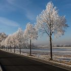 auf der Strasse ...