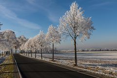 auf der Strasse ...