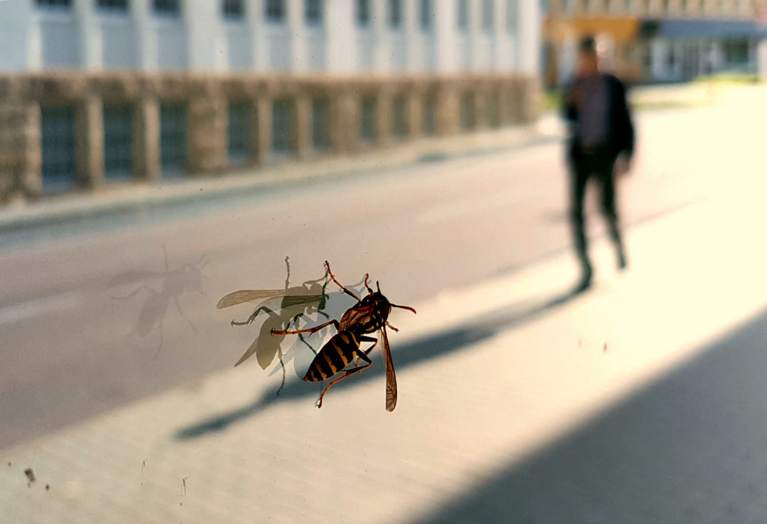 ** Auf der Strasse der Uhrenmanufakturen **