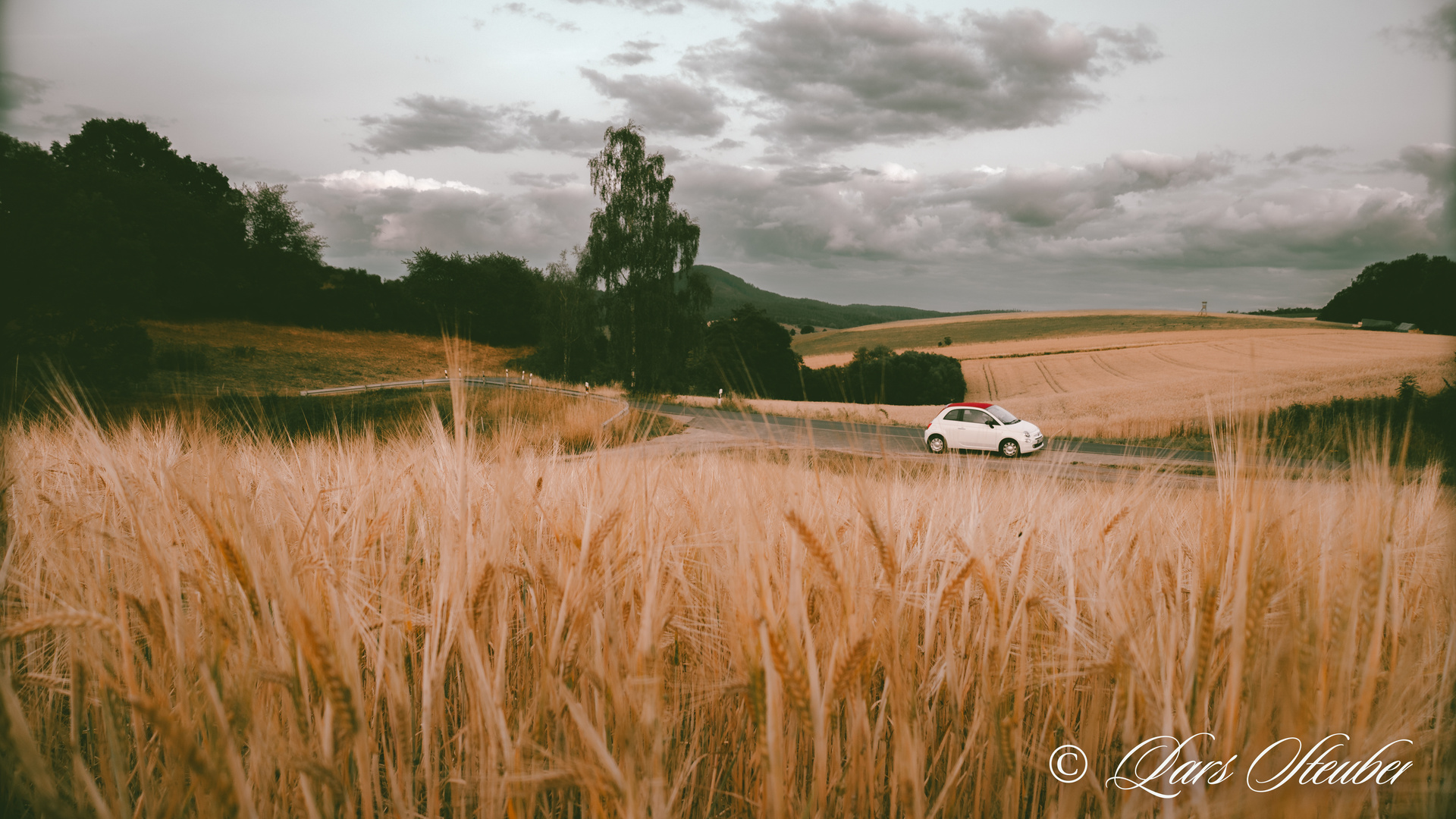 Auf der Straße durch das goldene Gras