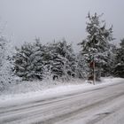 Auf der Strasse hinauf auf den Fichtelberg