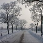 auf der Straße I