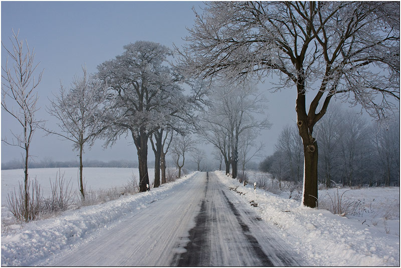 auf der Straße II