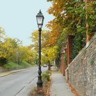 Auf der Straße im Herbst