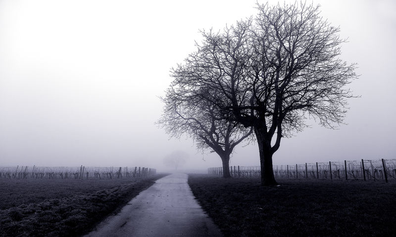 auf der Strasse nach Irgendwo...