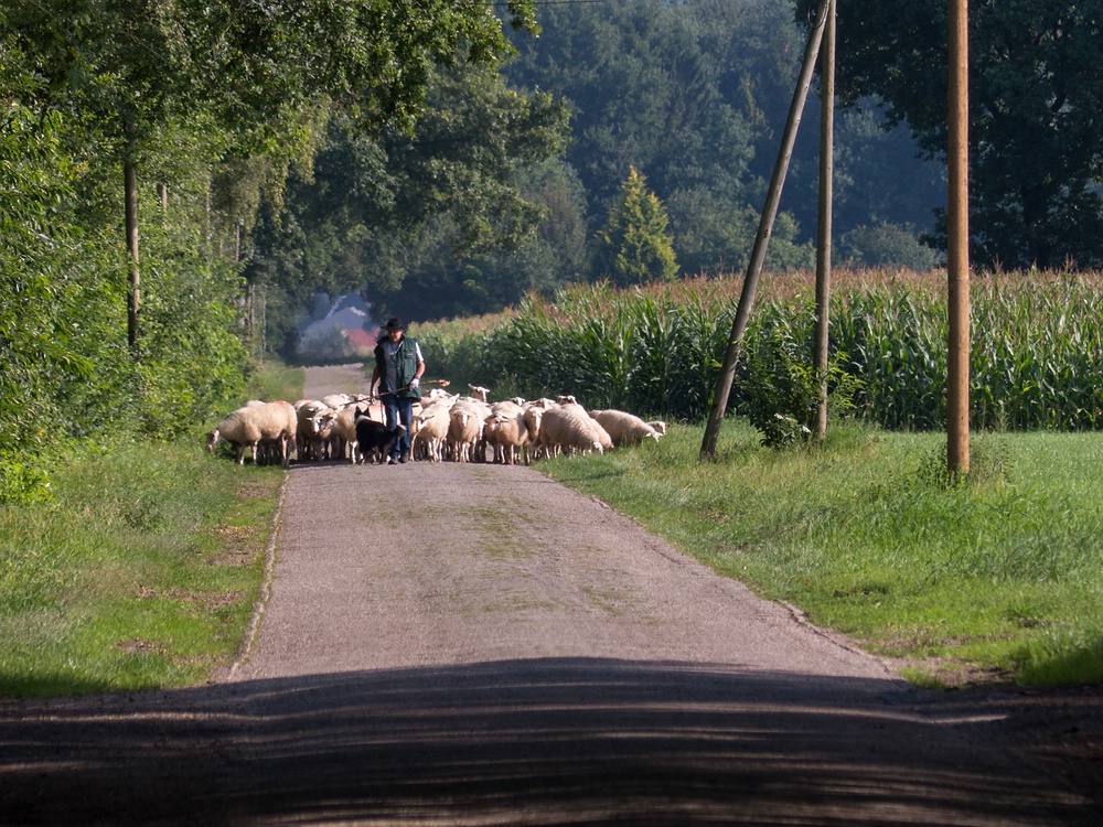 Auf der Straße nach Süden