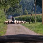 Auf der Straße nach Süden